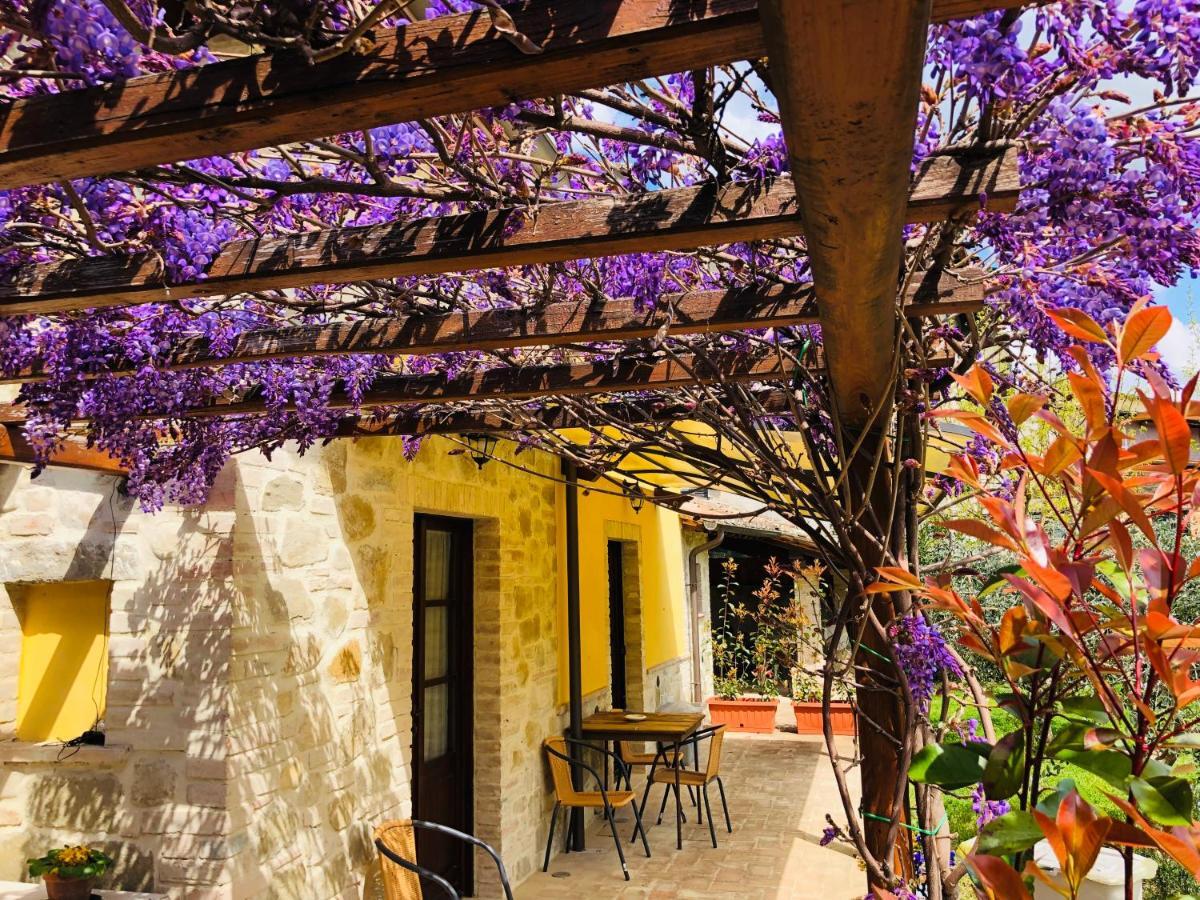 Il Cortile Delle Rose Holiday House ペルージャ エクステリア 写真